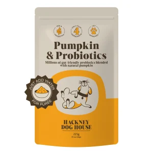 Probiotiques à la Citrouille pour Chien