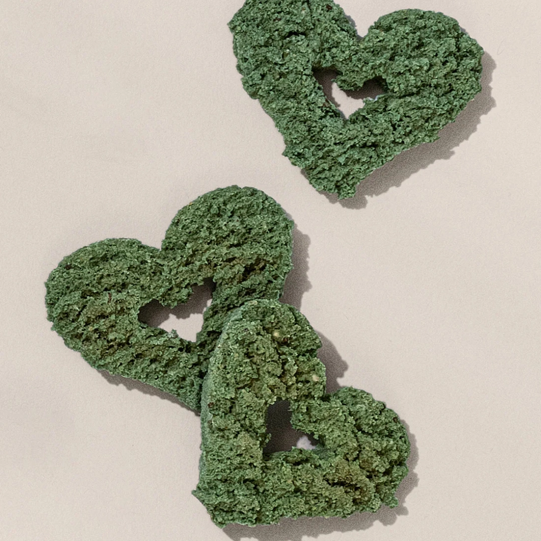 Friandise à la spiruline | noix de coco | Booster l'immunité – Image 3